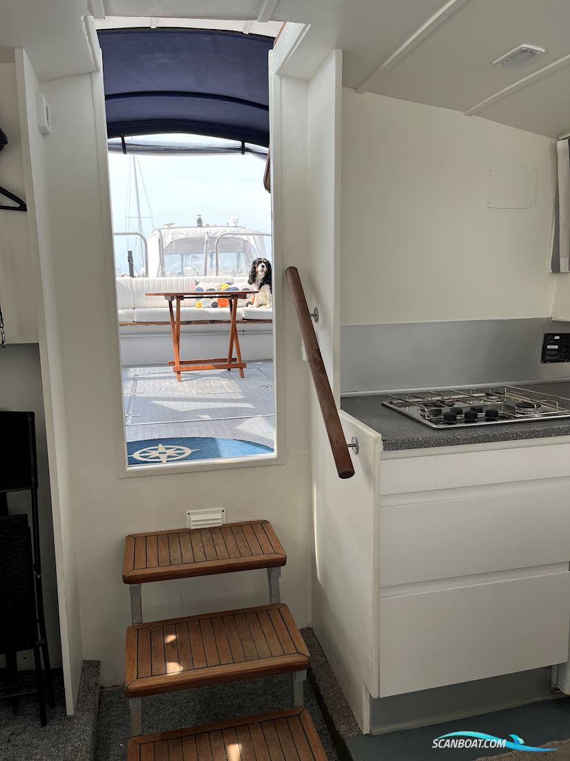 Polaris 36