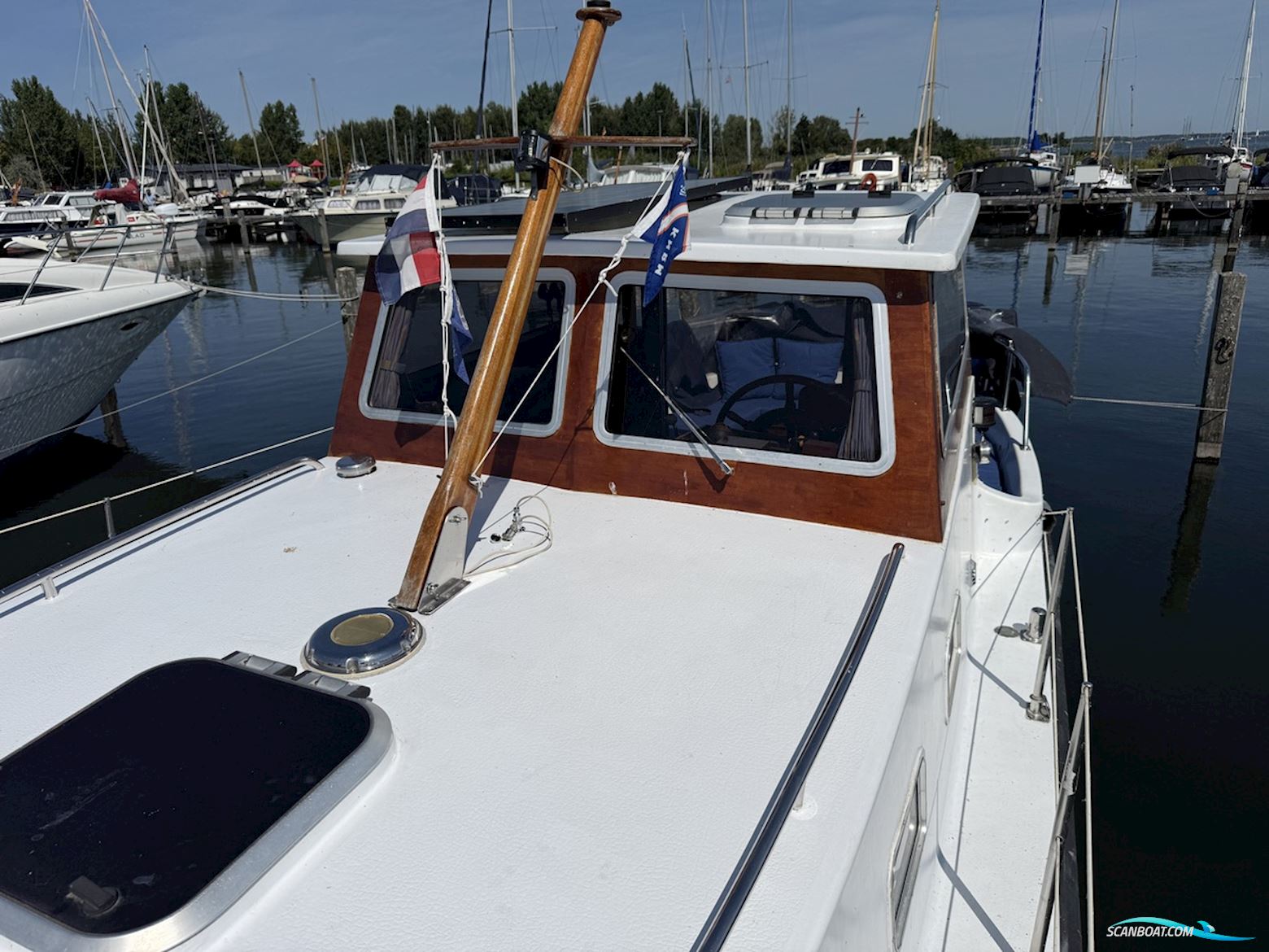 Polymore 770