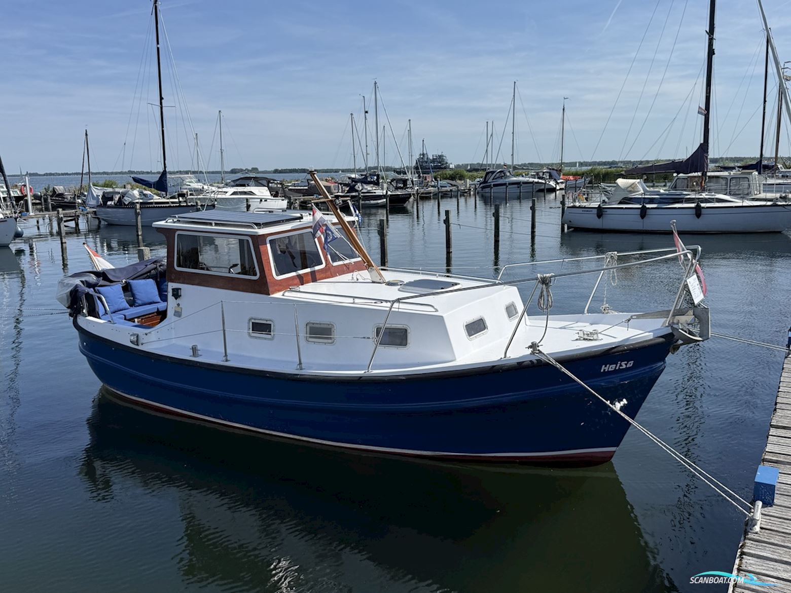 Polymore 770