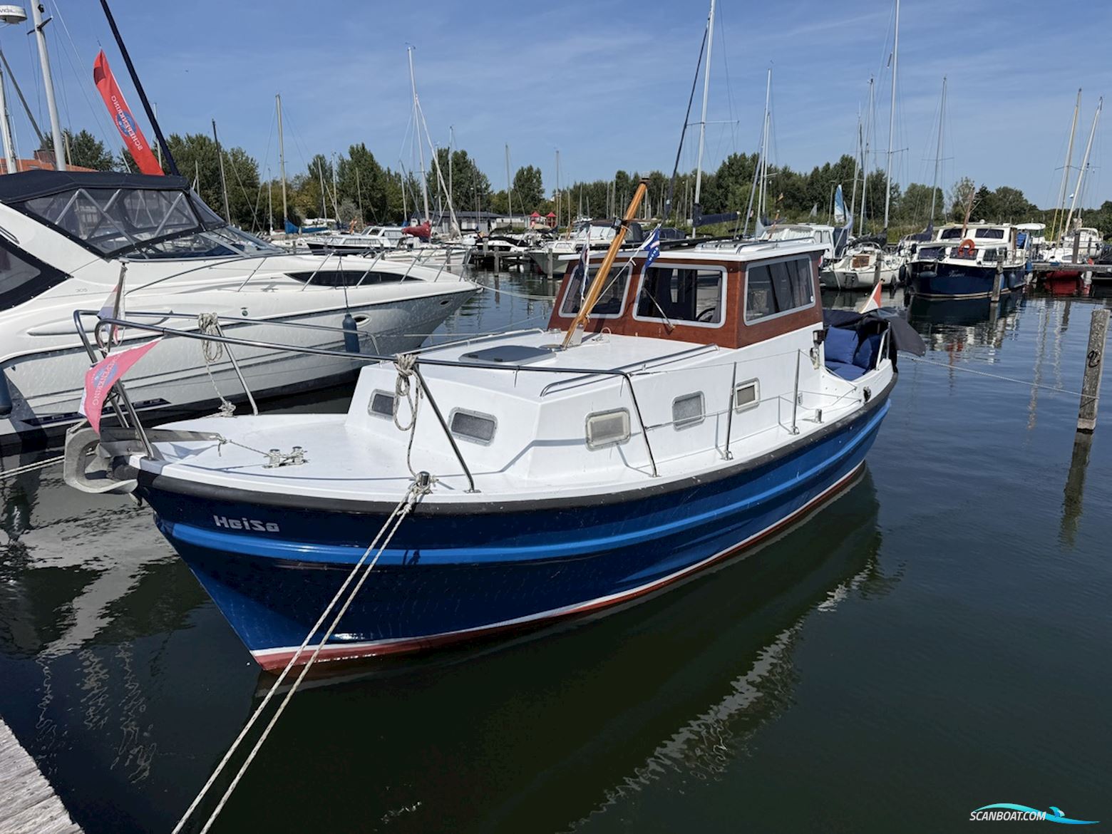 Polymore 770
