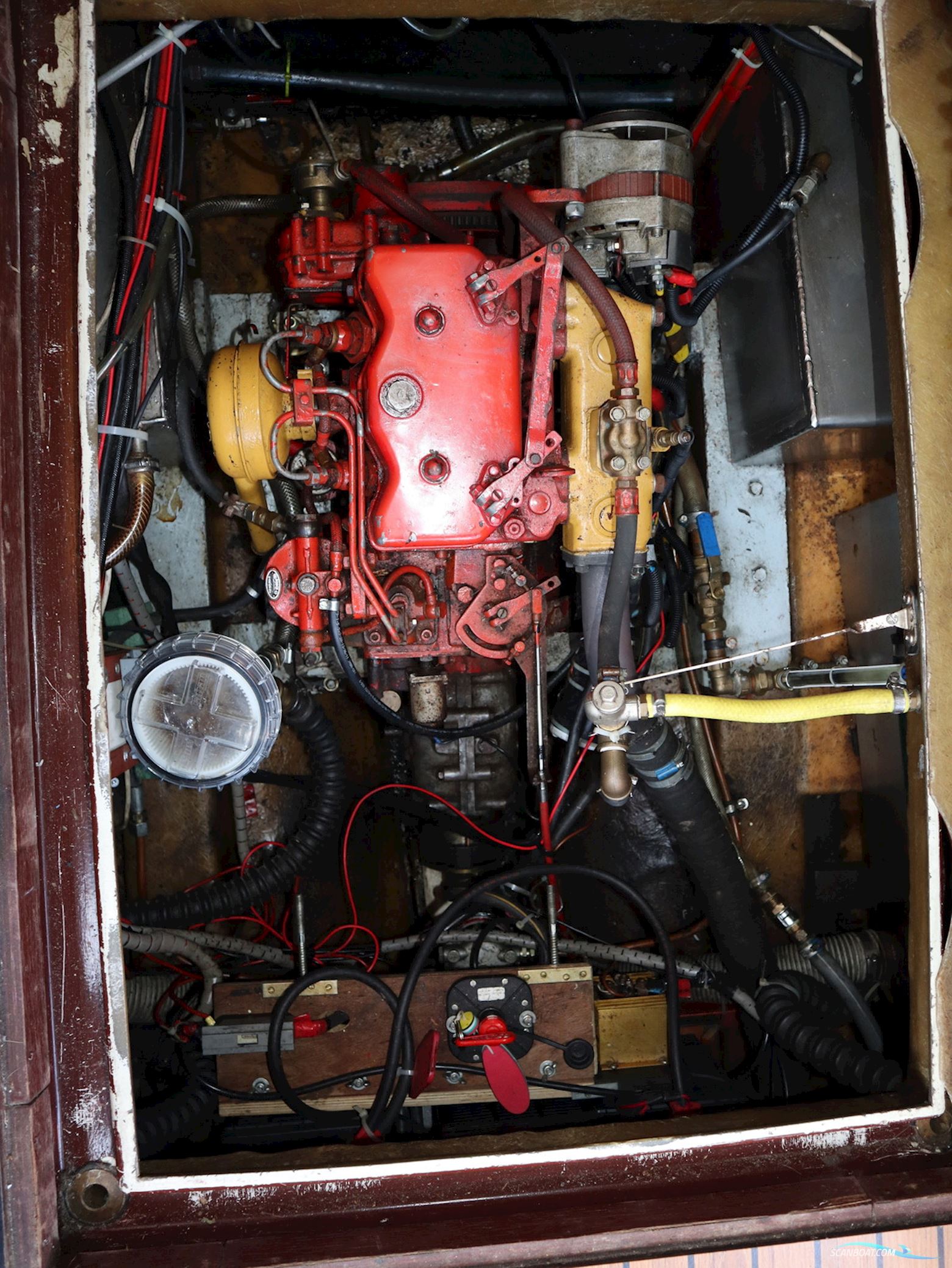 Polymore 770