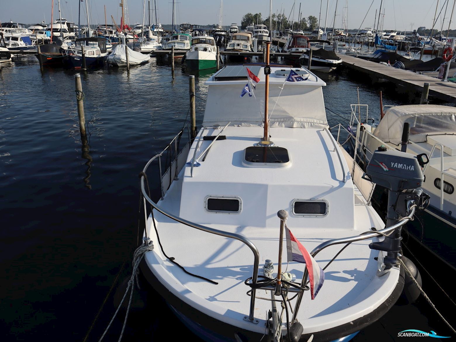 Polymore 770