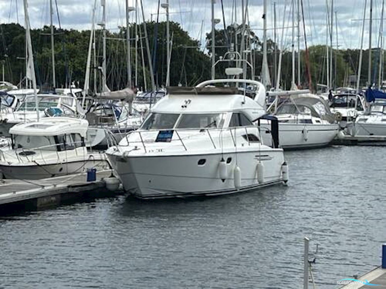 Princess 38
