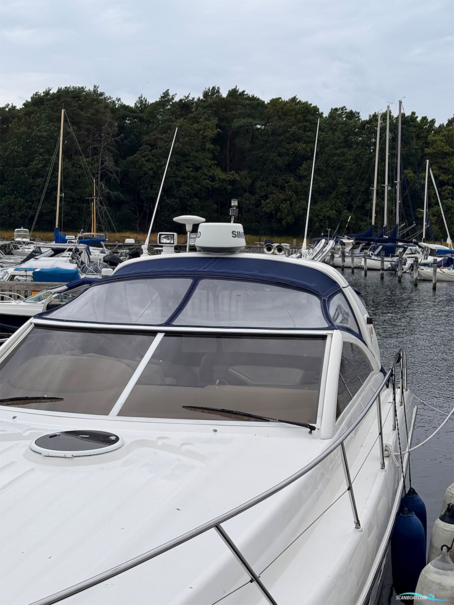 PRINCESS V40
