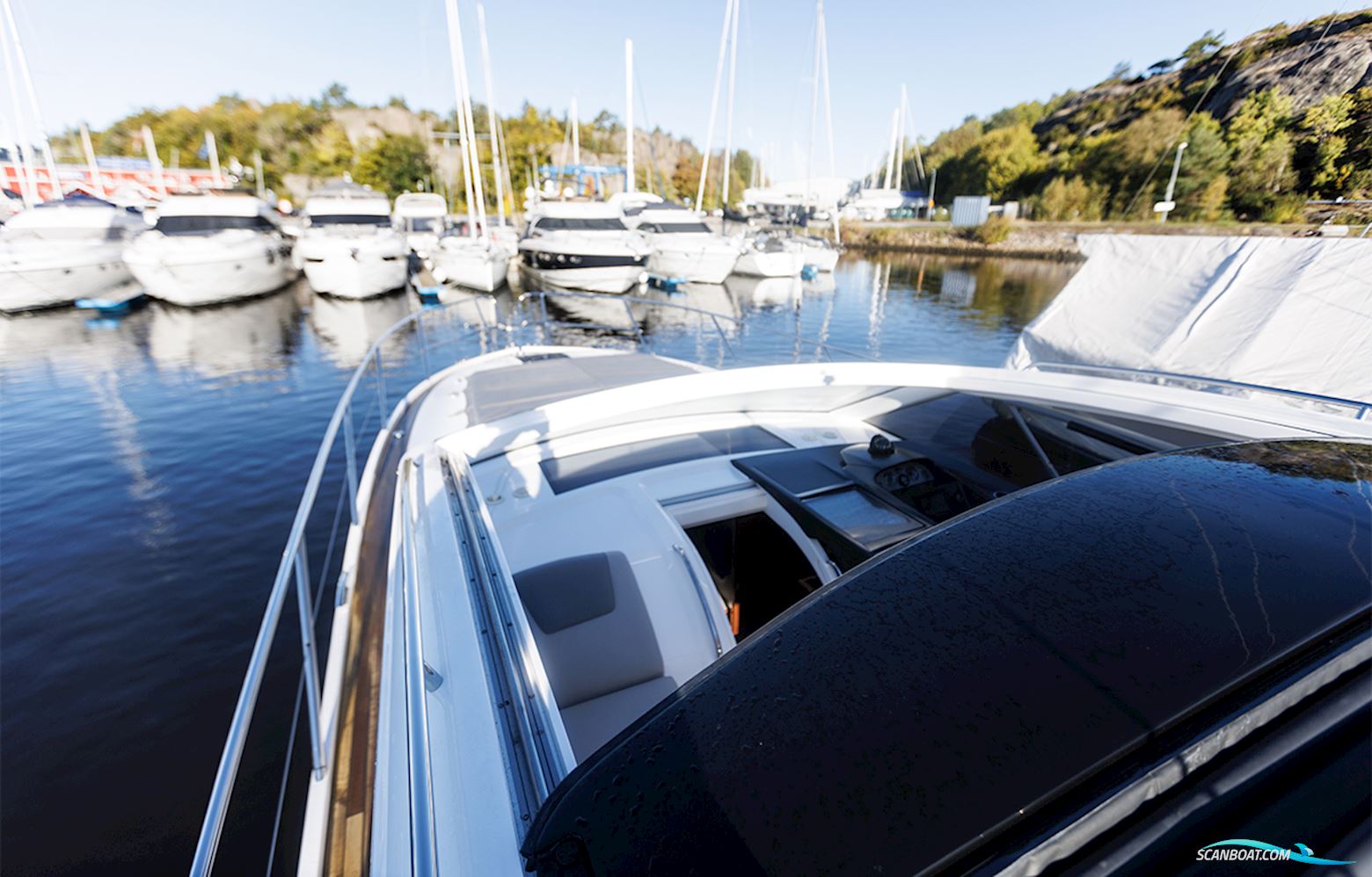 Princess V40