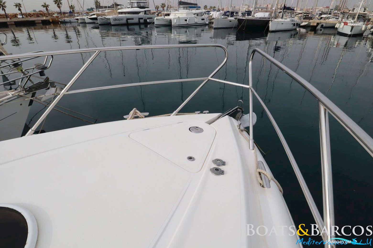 PRINCESS V42