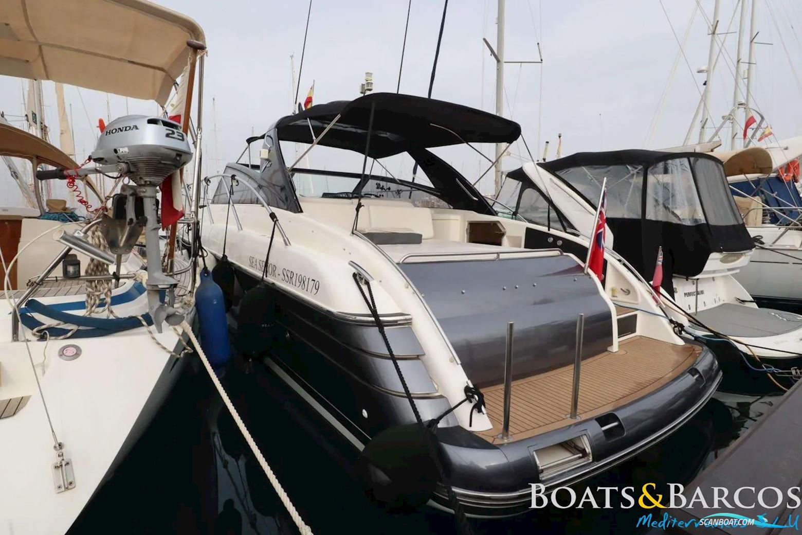 PRINCESS V42