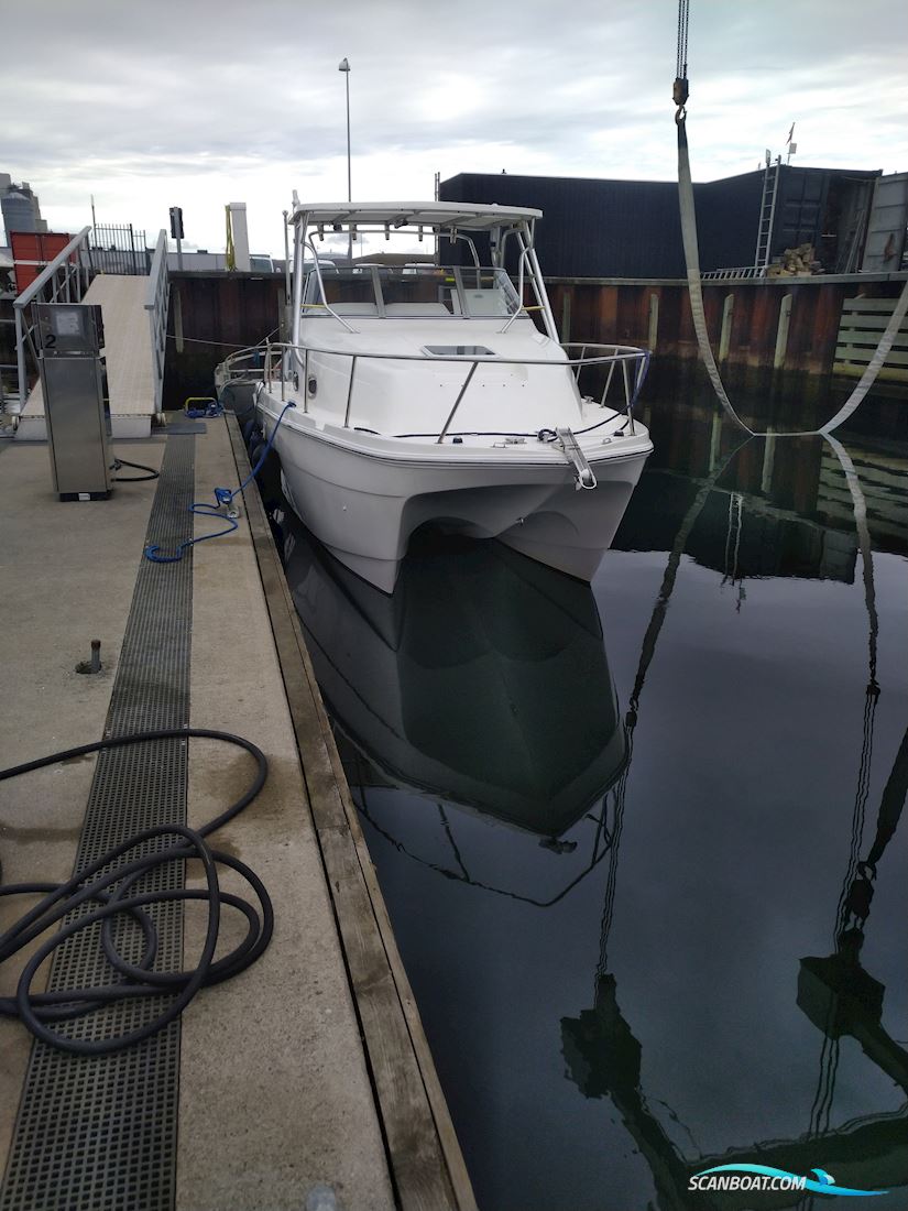 Prosport 2660 Procat