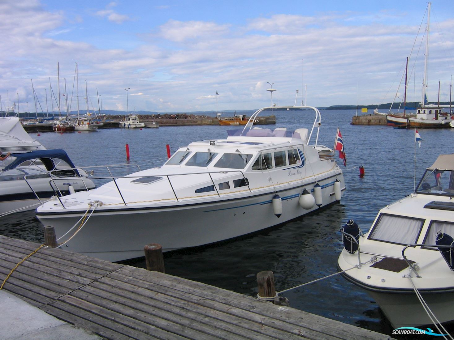 Queen Albatross 1120