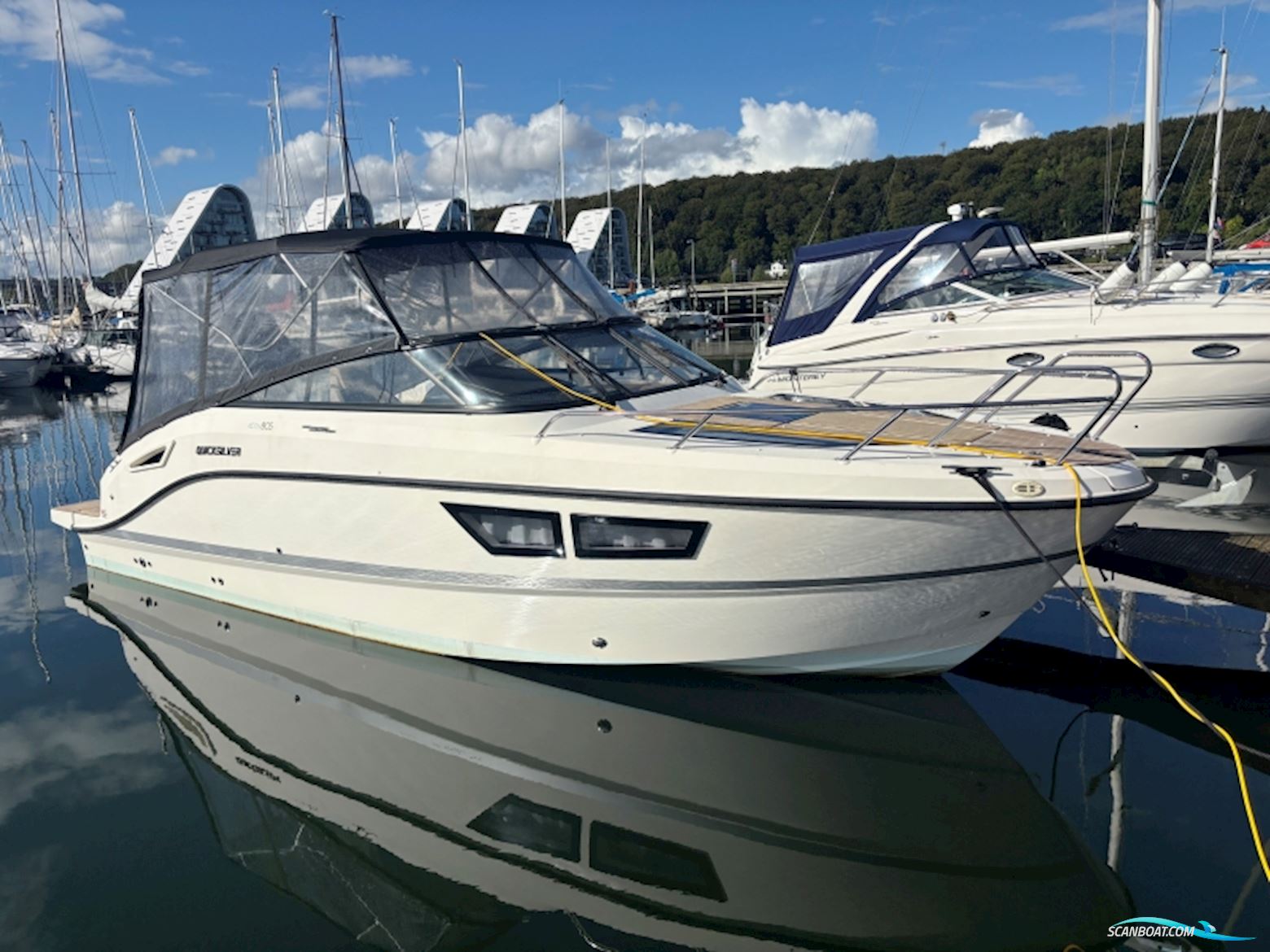 Quicksilver 805 Activ Daycruiser