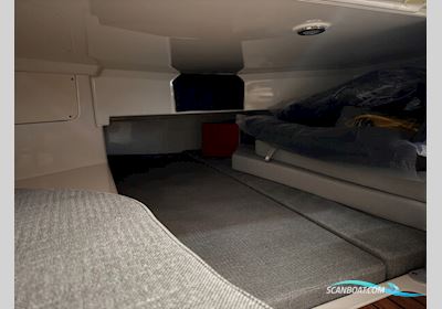 Quicksilver 805 Cruiser 40 Year Anniversary Edition  Motorboat 2025, Denmark
