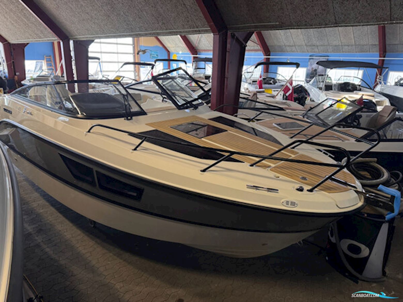 Quicksilver 805 Cruiser 40 Year Anniversary Edition 