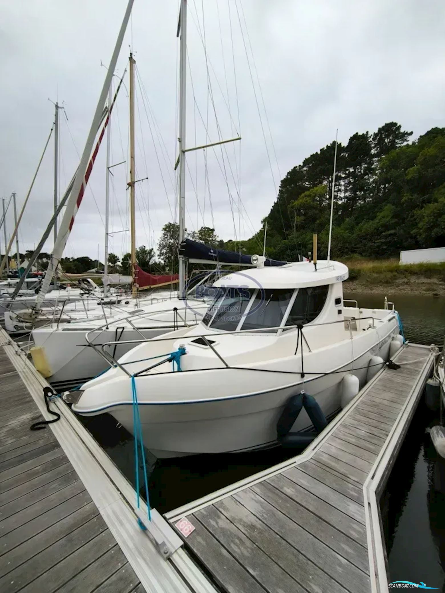 Quicksilver ARVOR 250