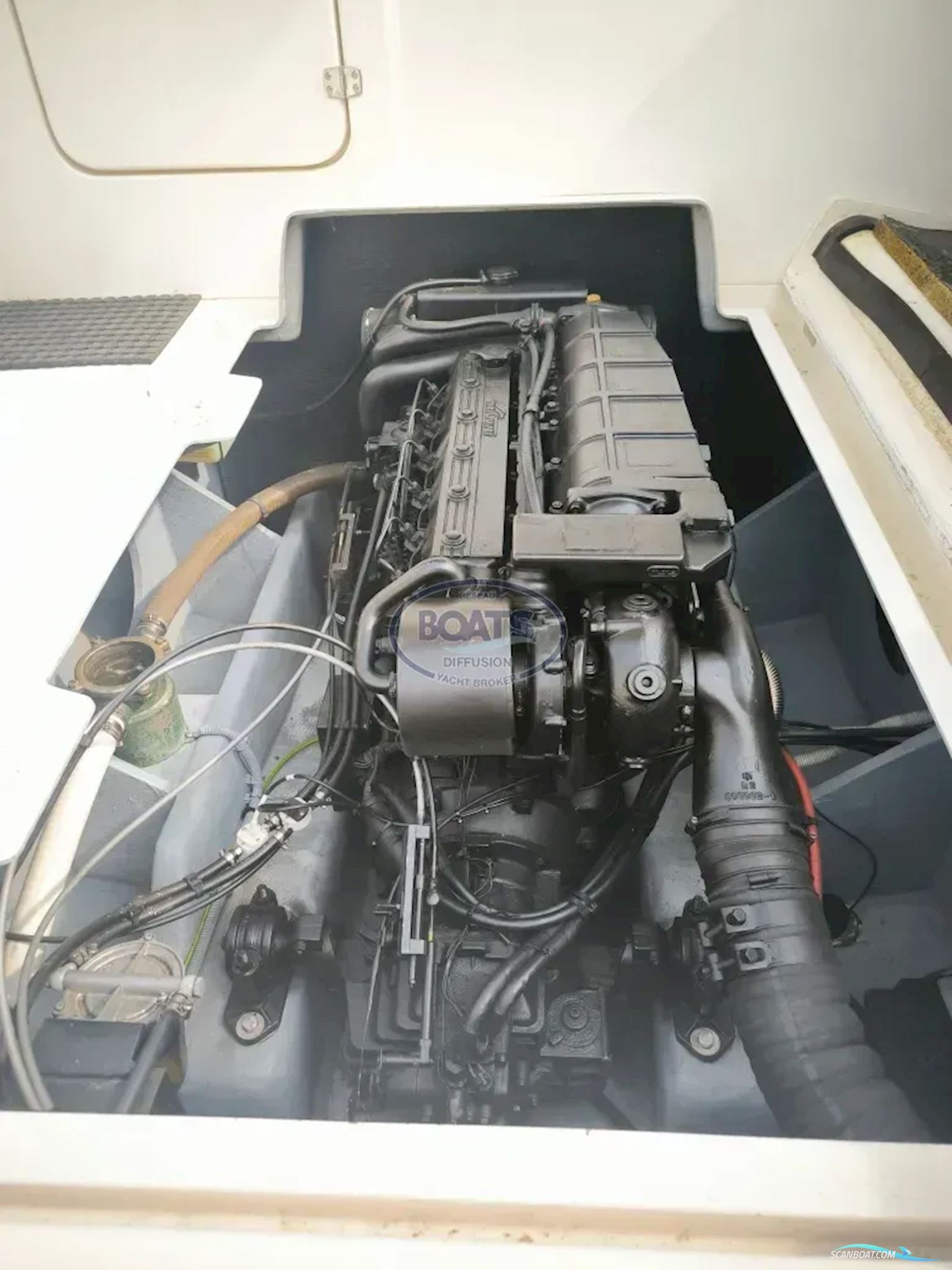 Quicksilver ARVOR 250