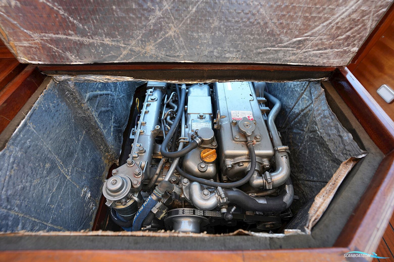 Rapsody 29 OC-F Oyster White Limited Edition