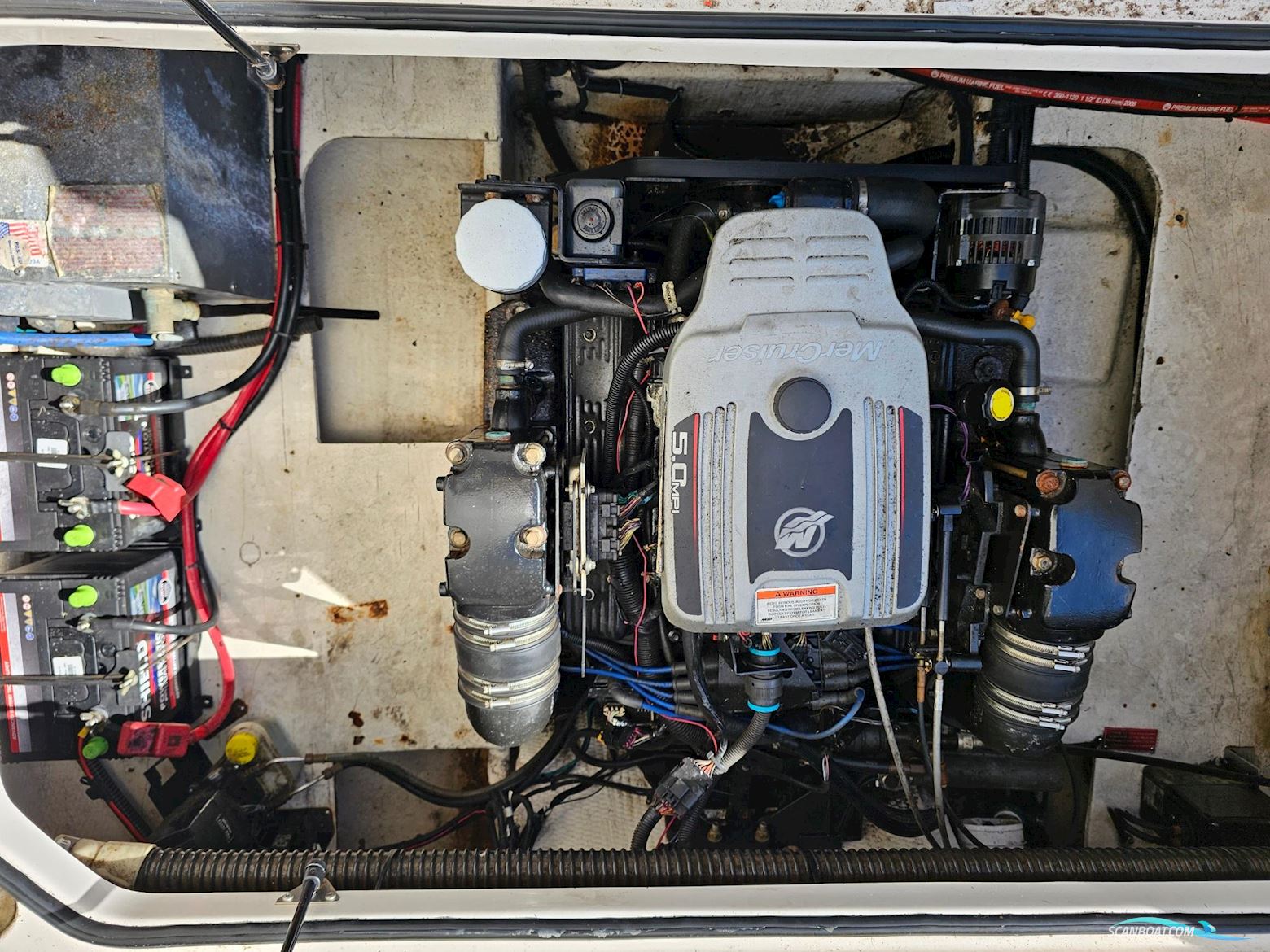 Regal 2565 Window Express