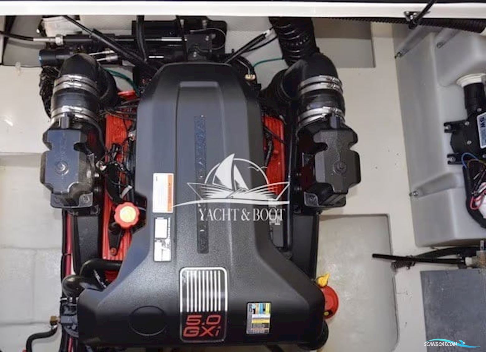 Regal 2565 Window Express