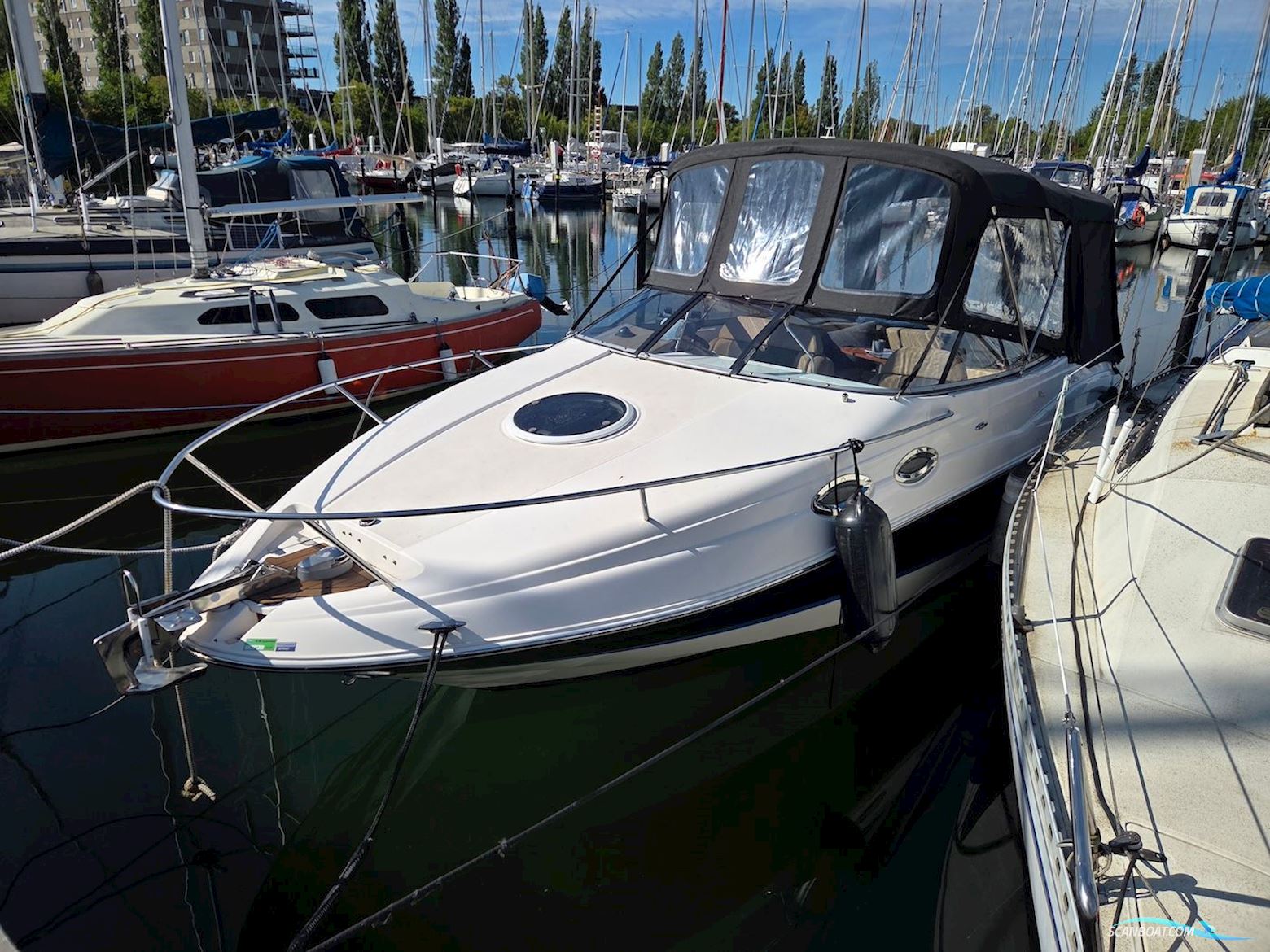 Regal 2650 Cuddy