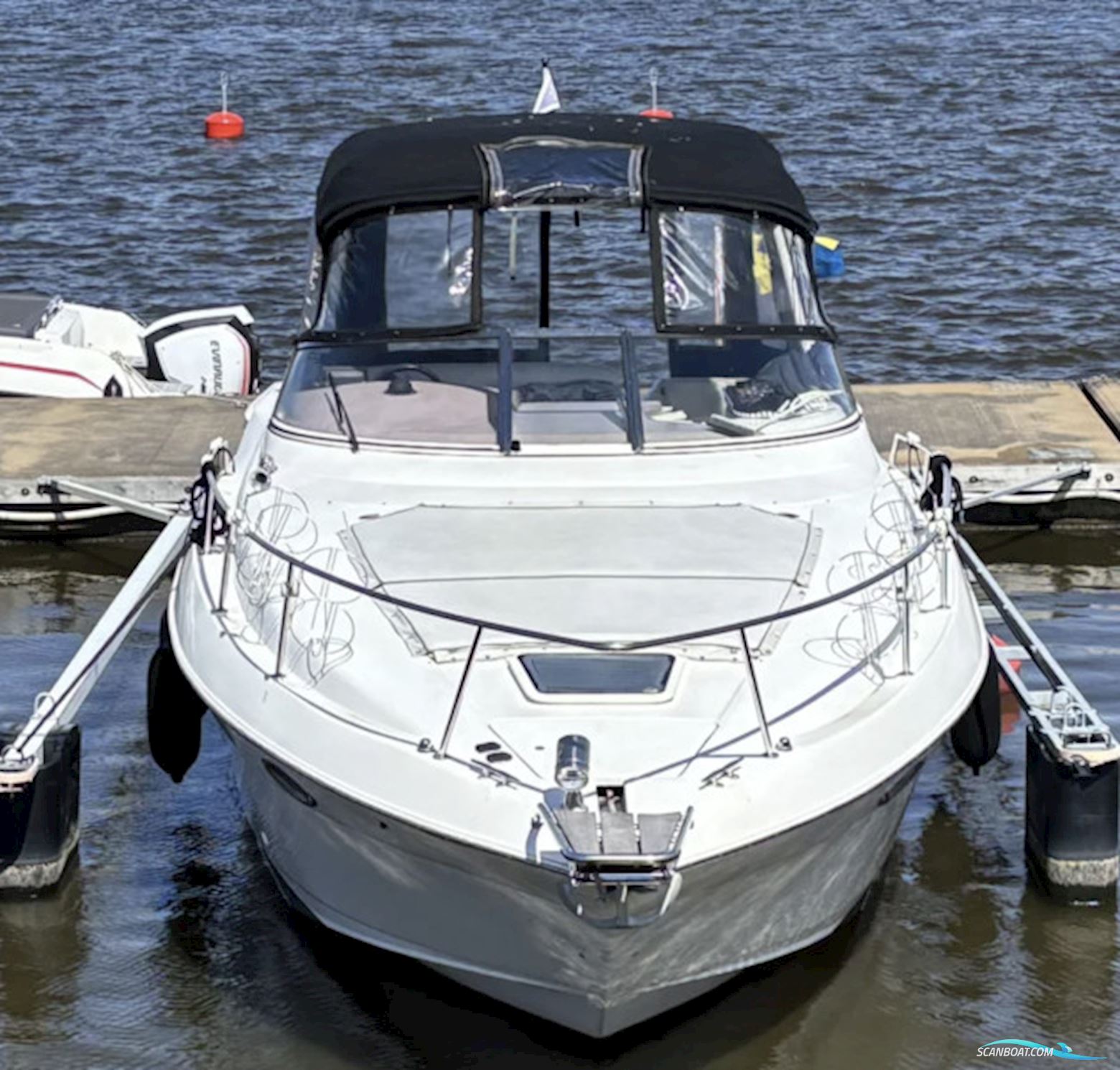 Regal 3260 Commodore