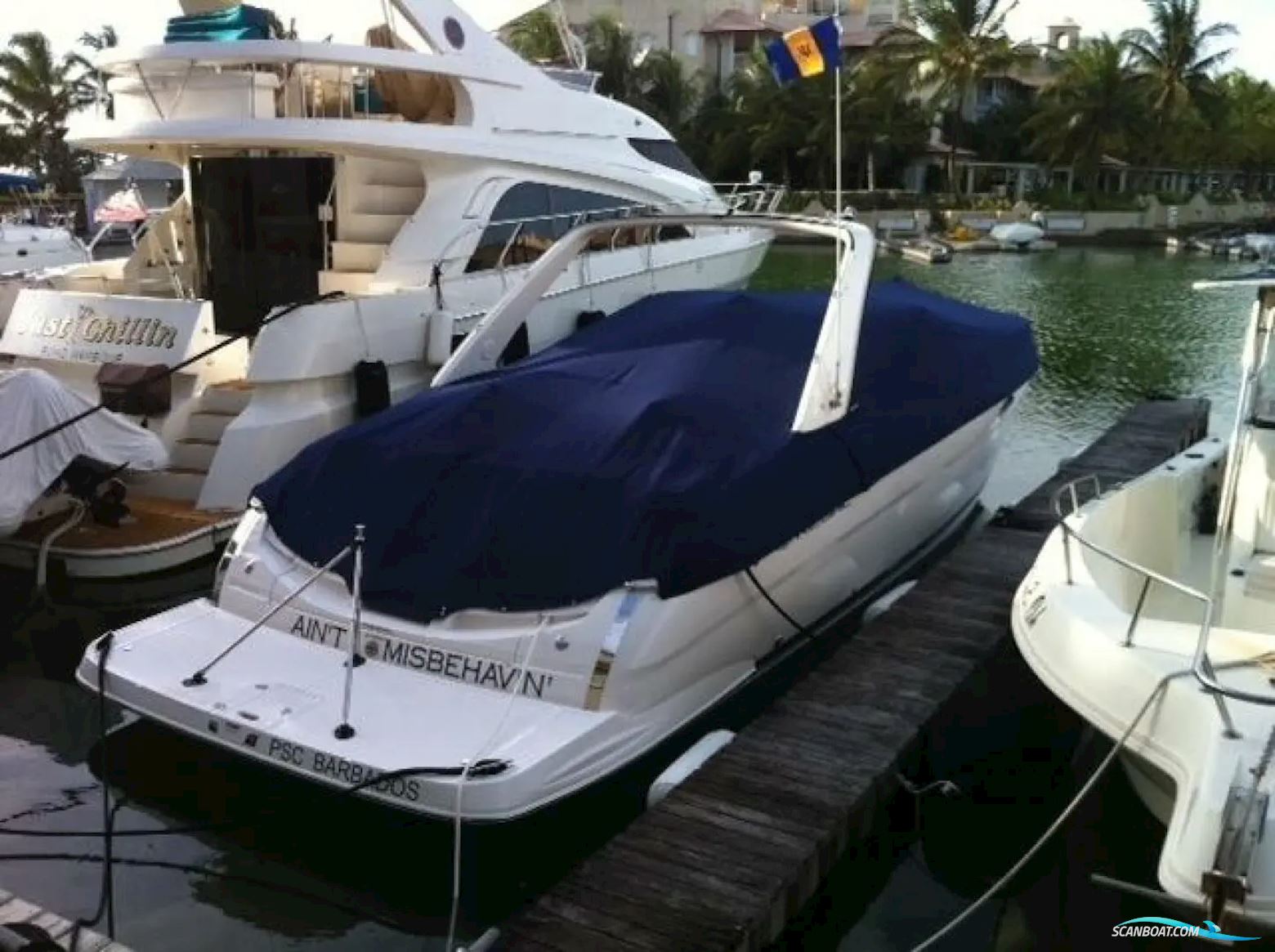 Regal 3360 Window Express