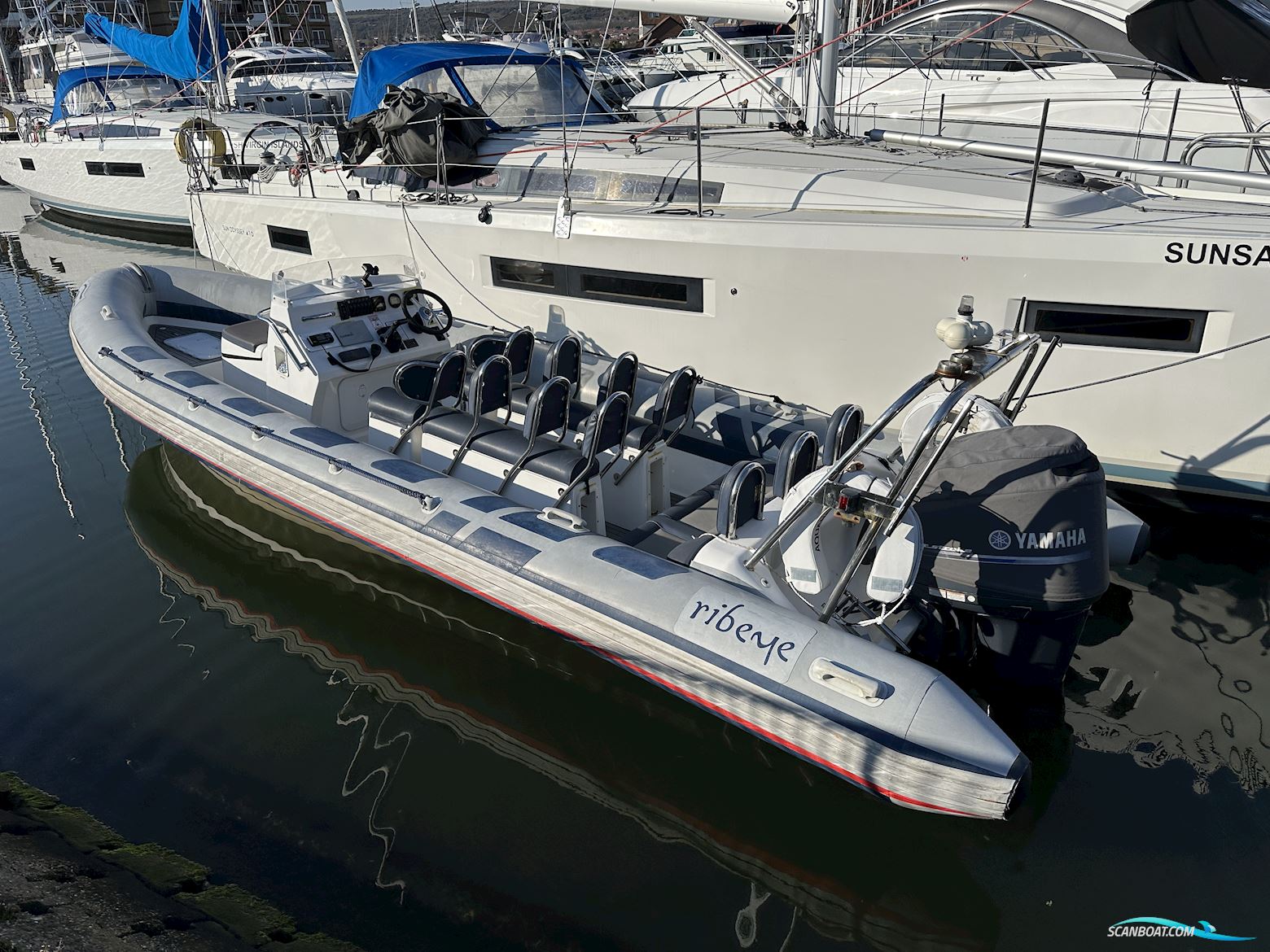 Ribeye 785