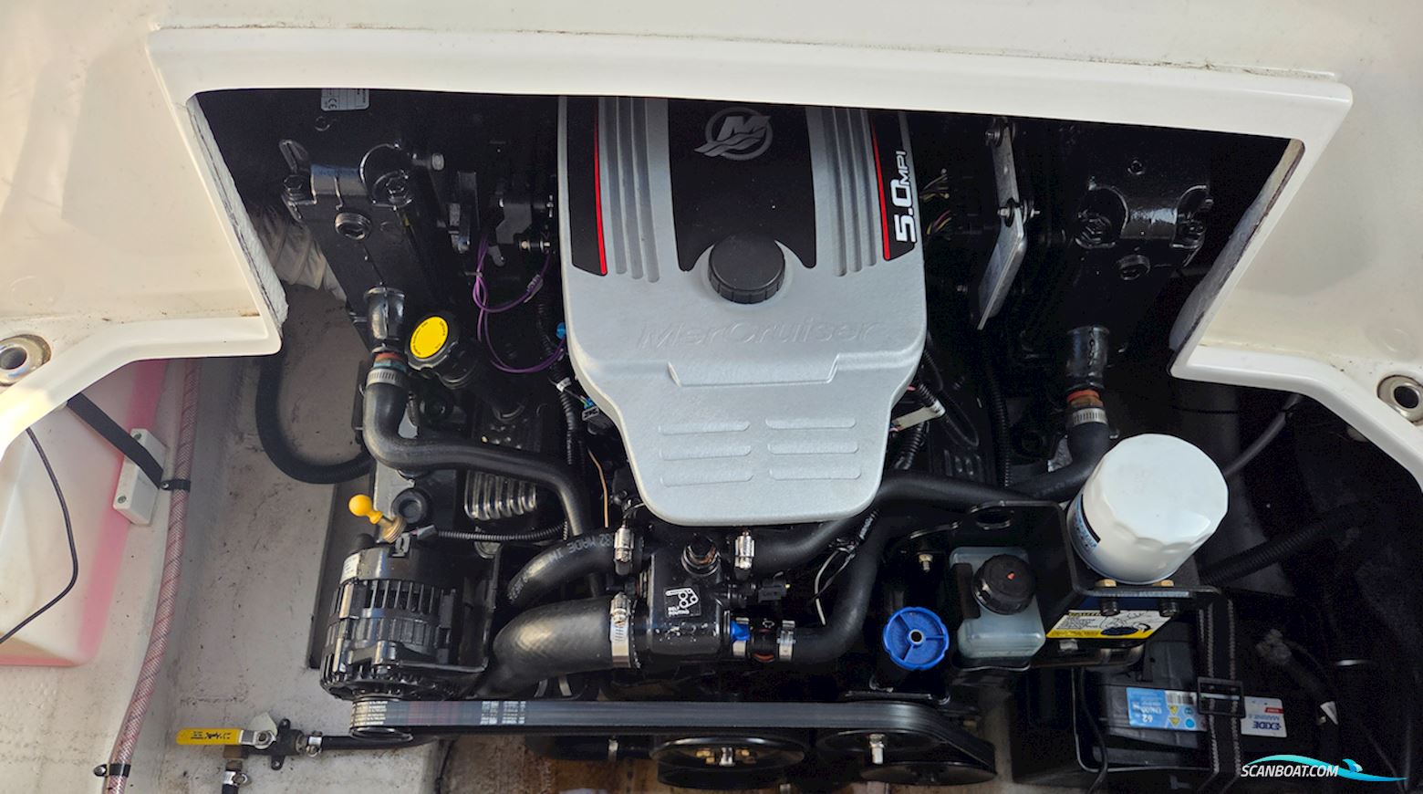 Rinker 230 Atlantic