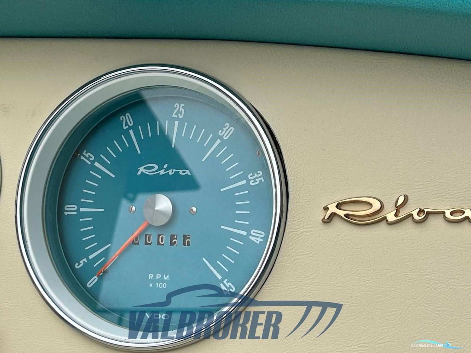 Riva Junior