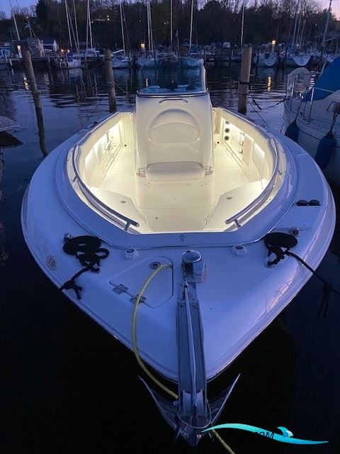Robalo R260
