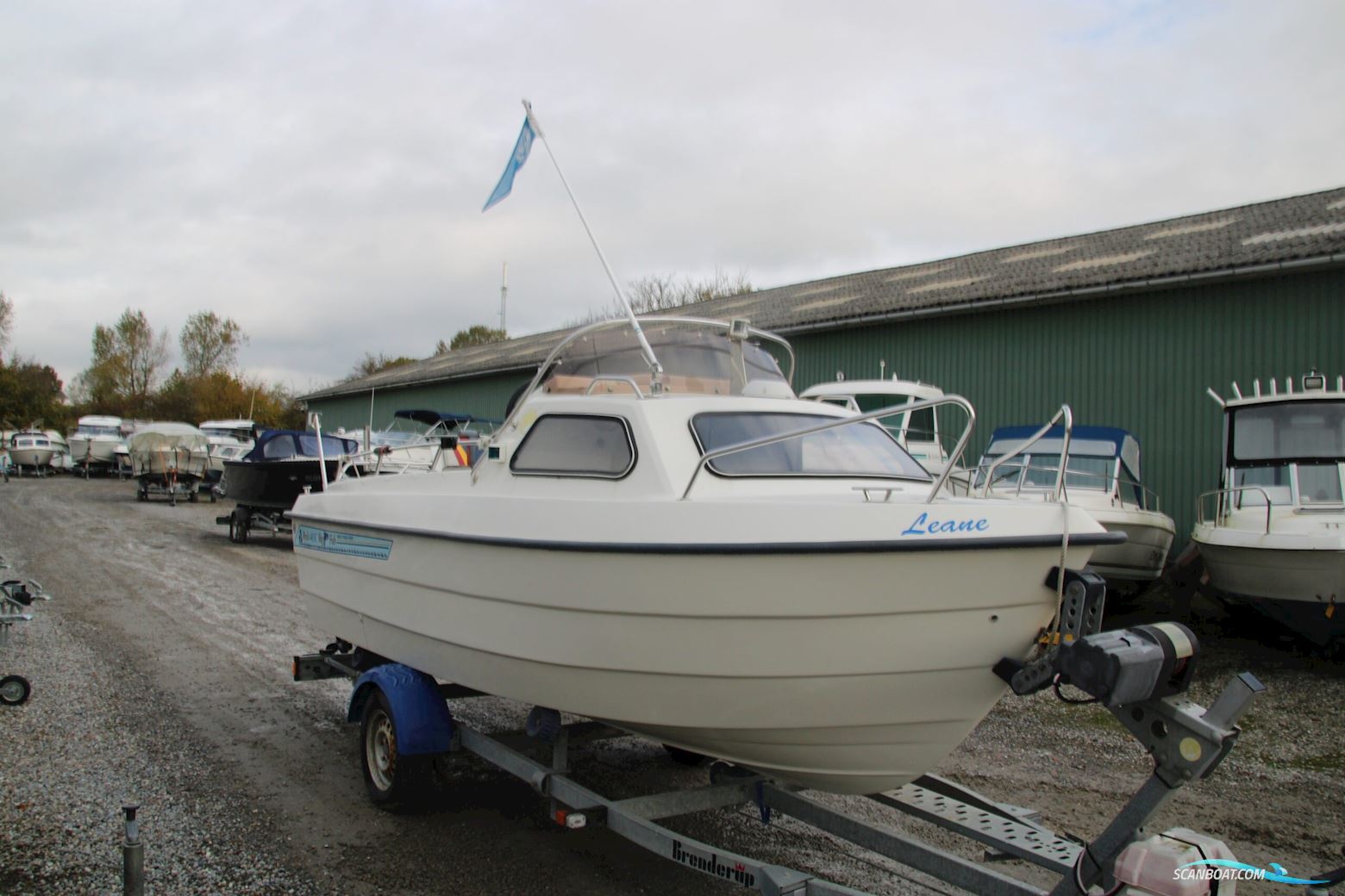 Ryds 485C Big Fish