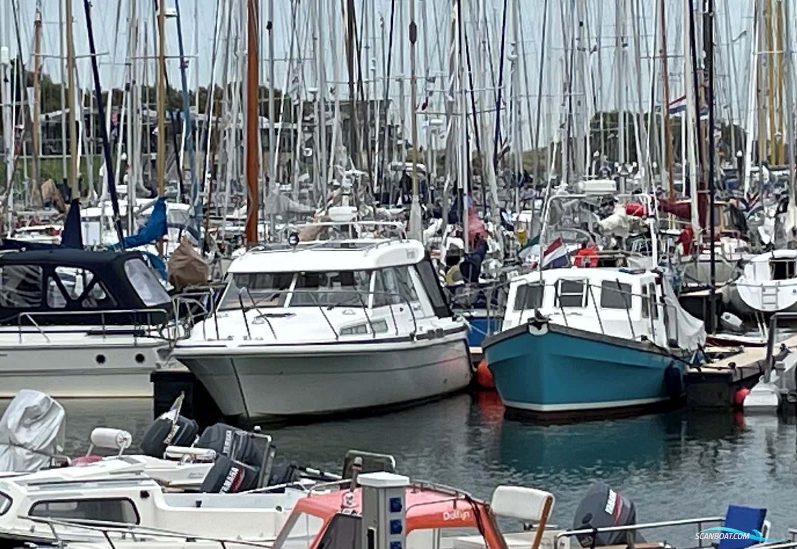 Saga 315