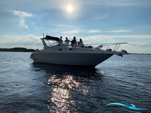 Sanboat Cuddy 980