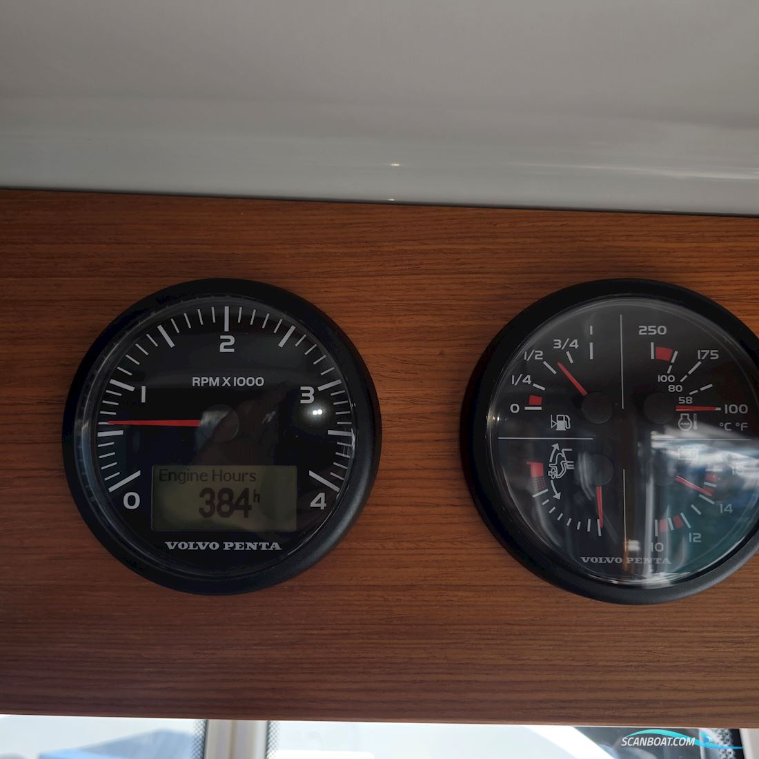 Sargo 28