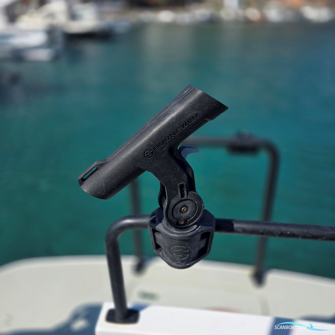 Sargo 28