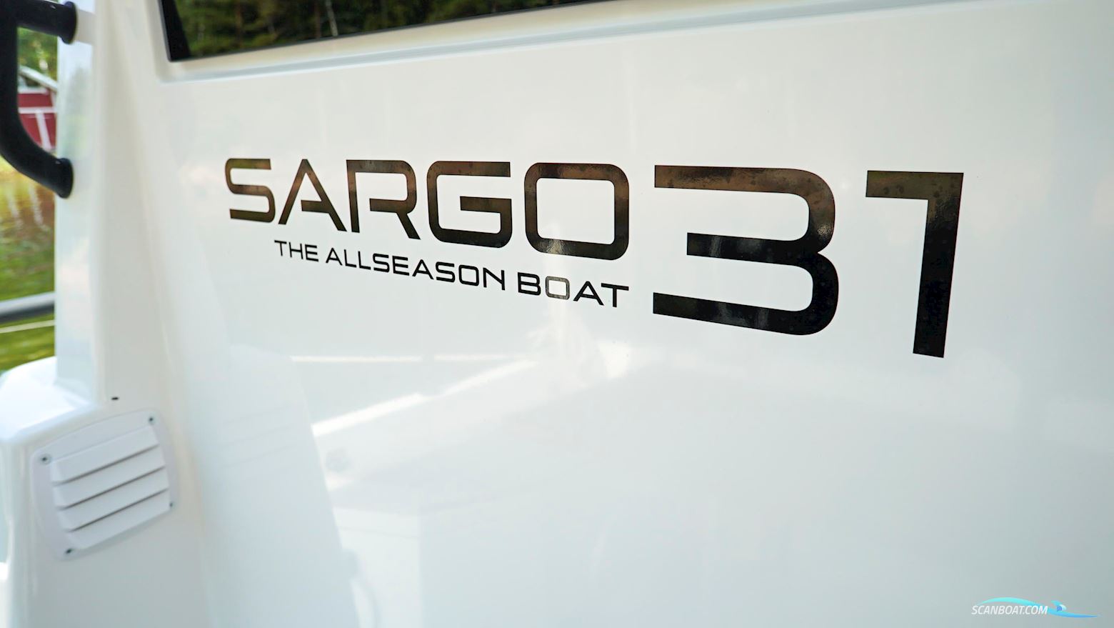 Sargo 31