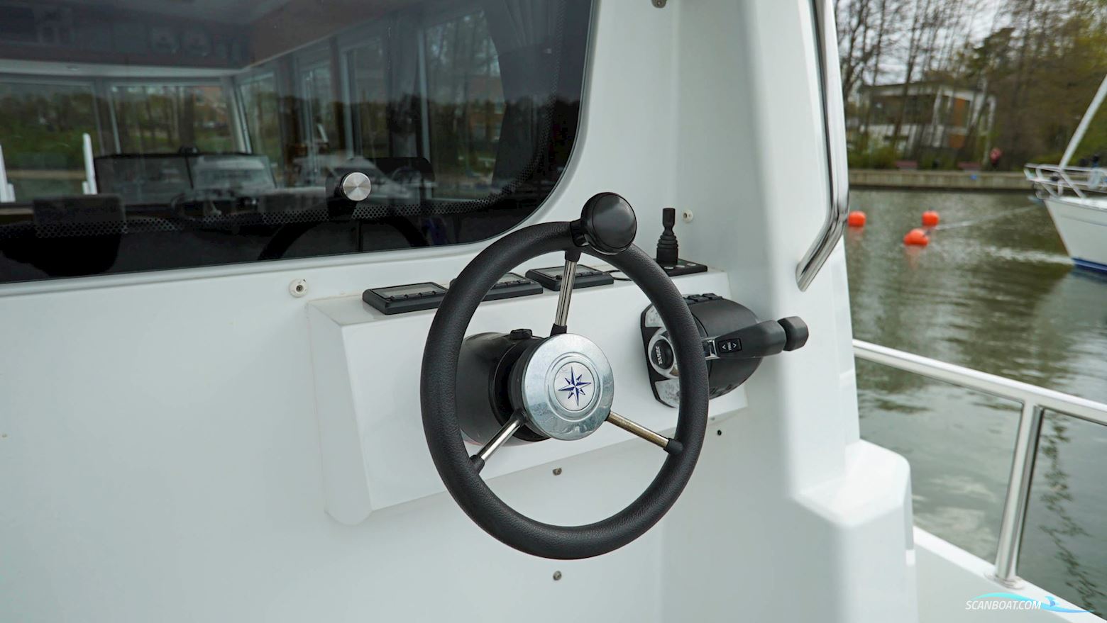 Sargo 31