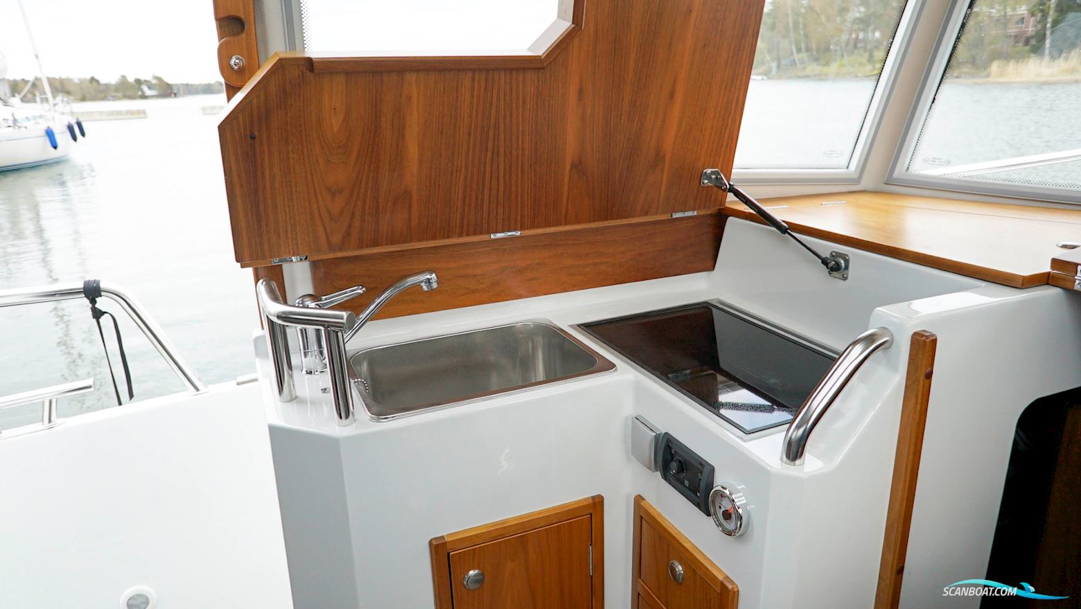 Sargo 31