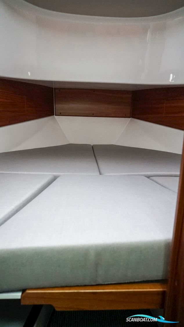 Sargo 31