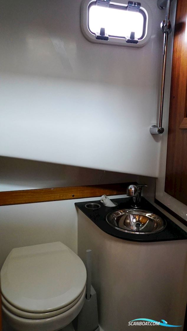Sargo 31