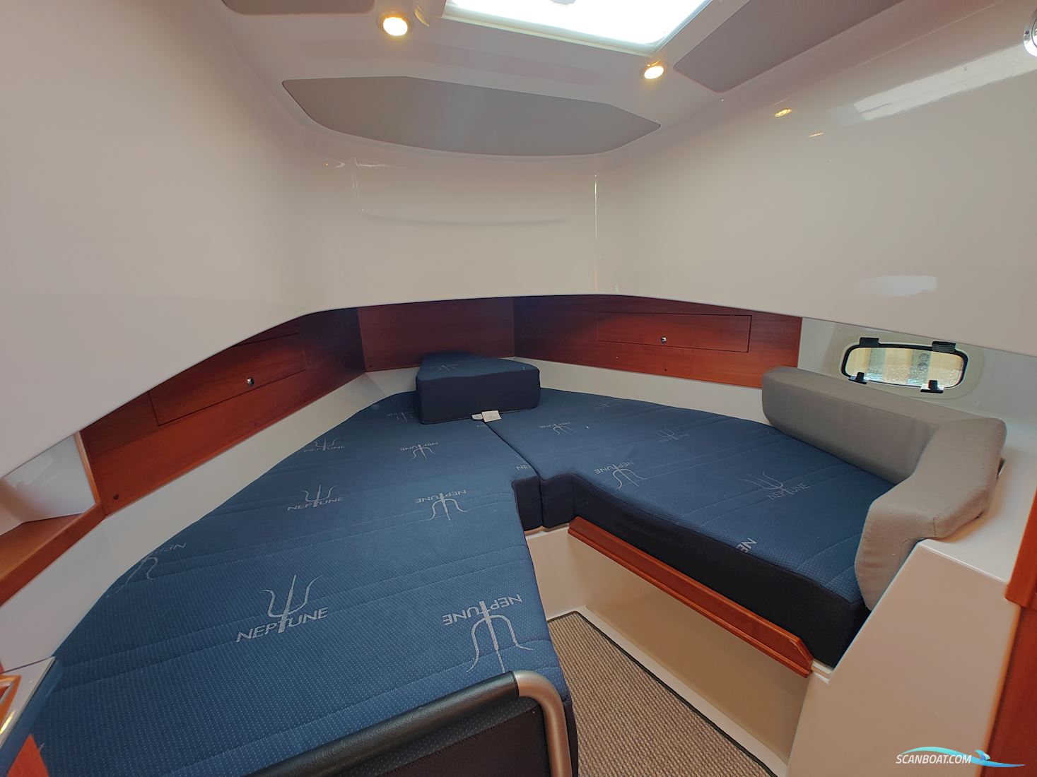 Sargo 33 Explorer