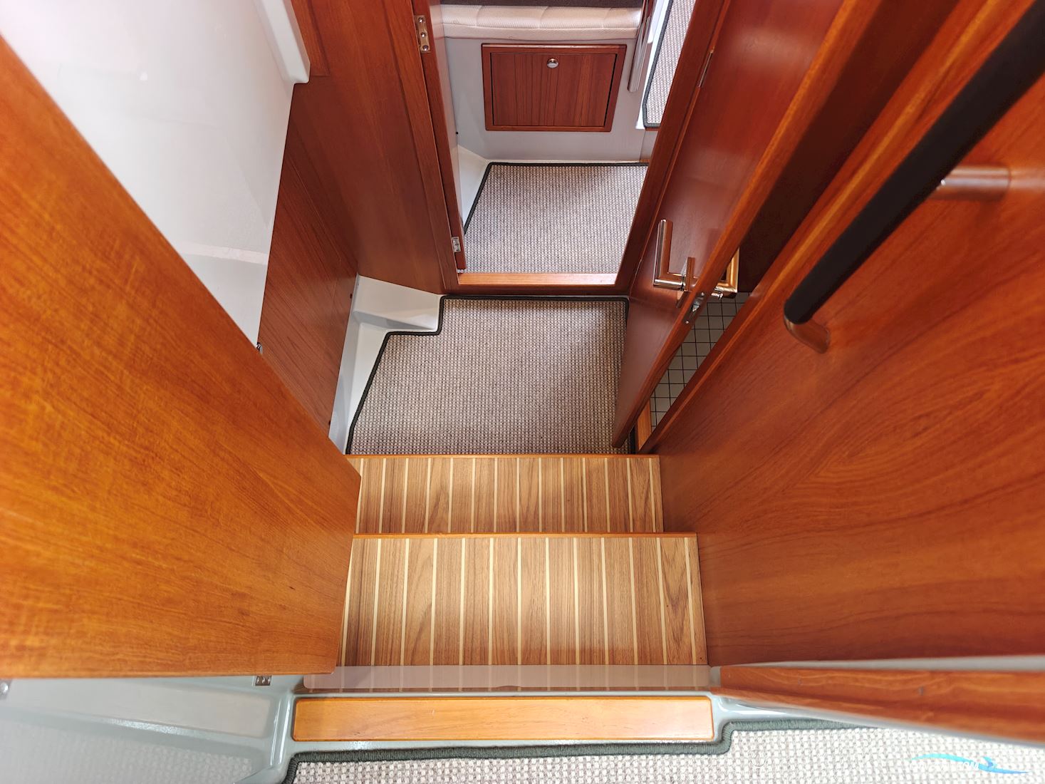 Sargo 33
