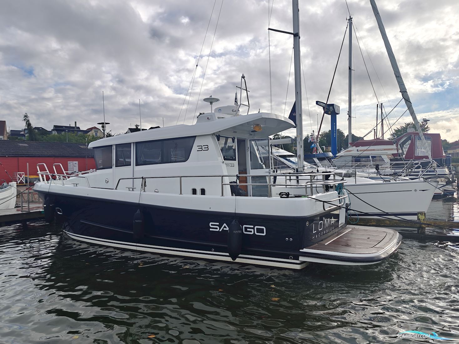 Sargo 33