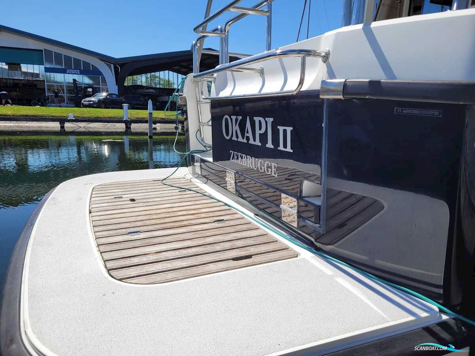Sargo 36