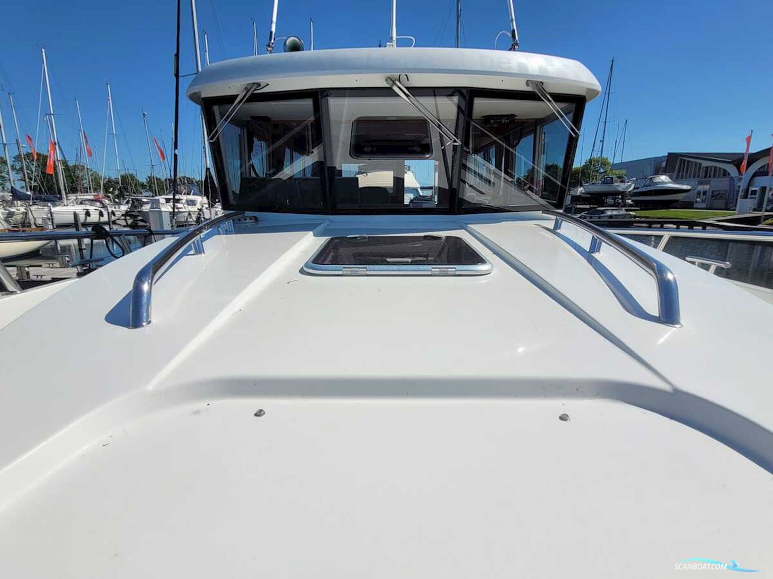 Sargo 36