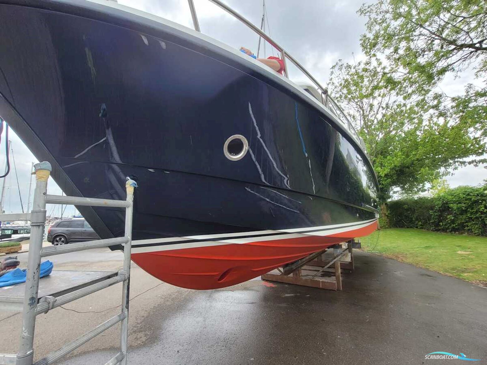 Sargo 36