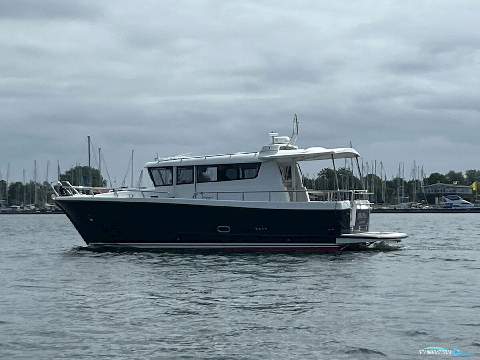 Sargo 36