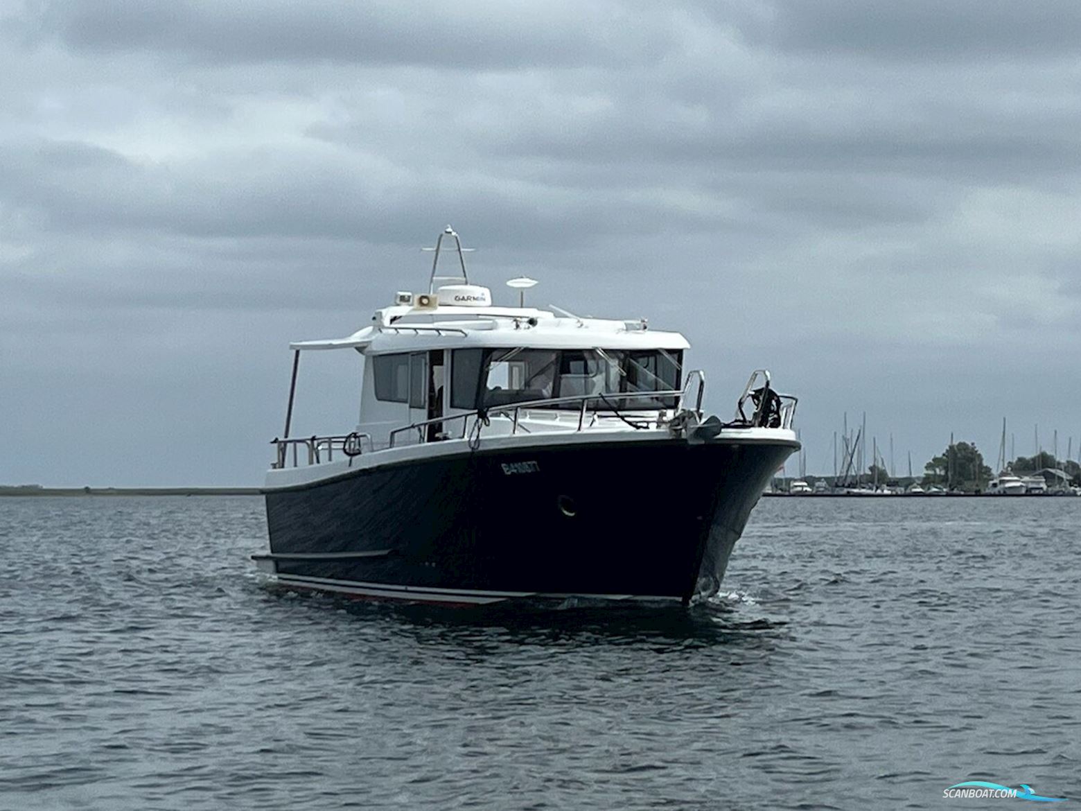Sargo 36