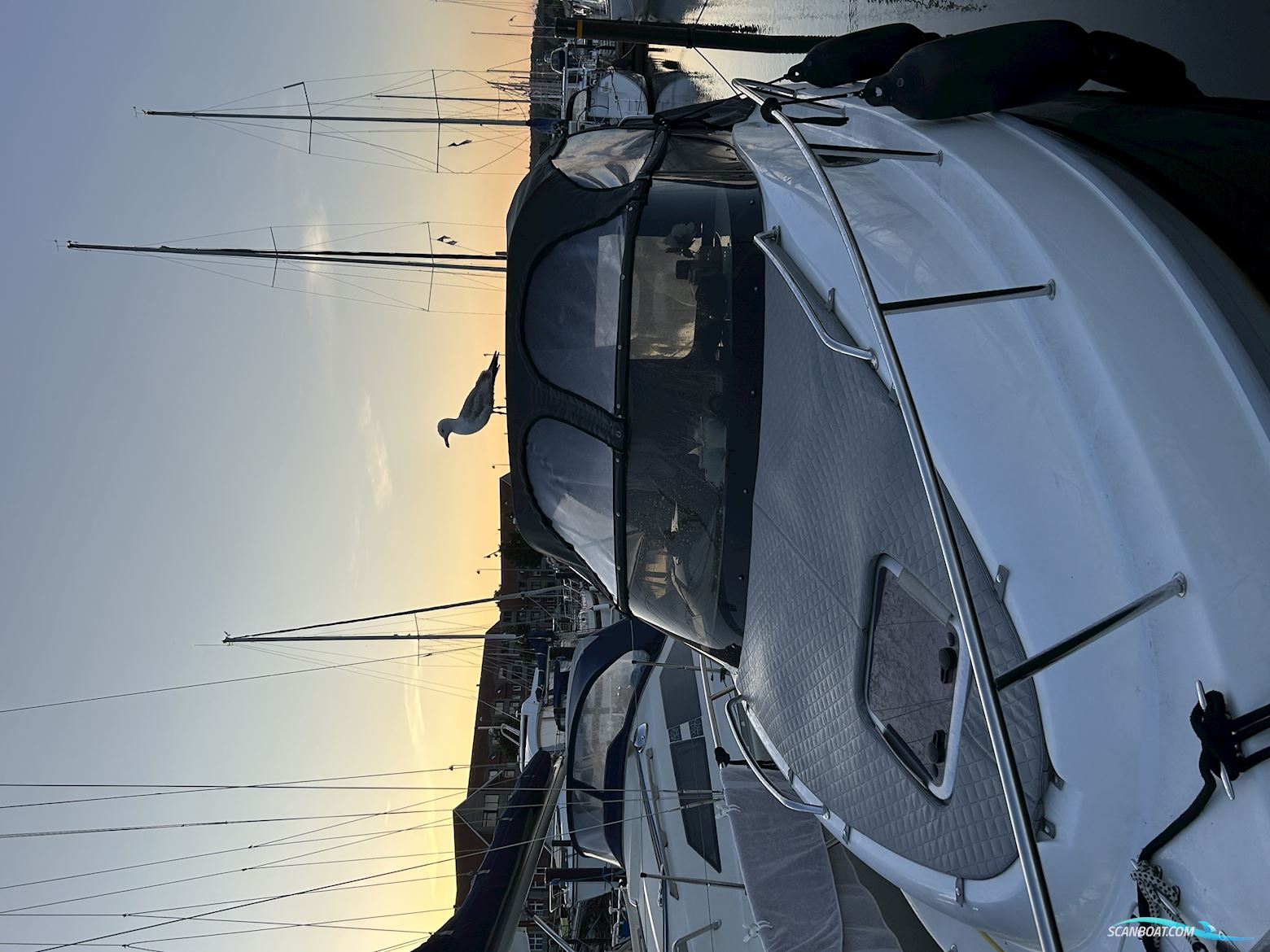 Saver 690 Cabin Sport