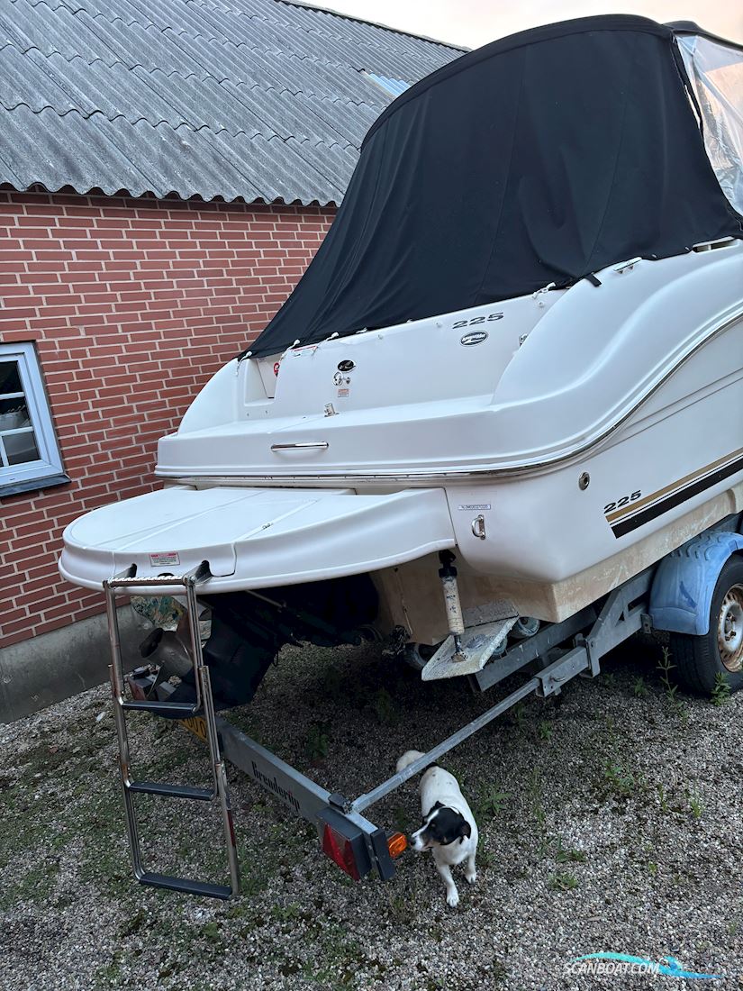 Sea Ray 225