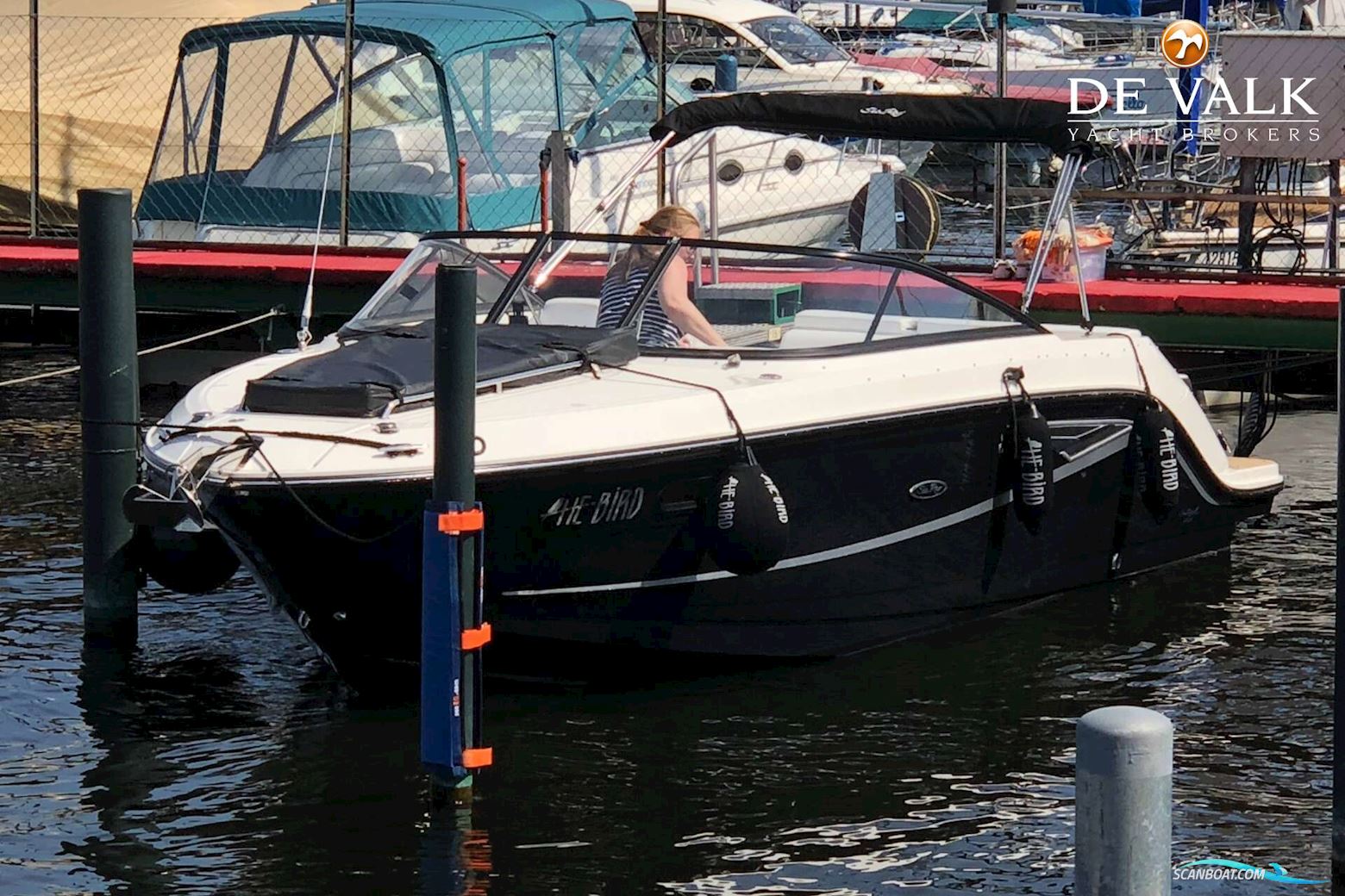 Sea Ray 250 Sun Sport