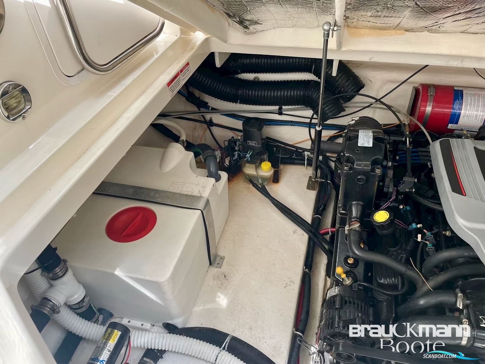 Sea Ray 255 Dae